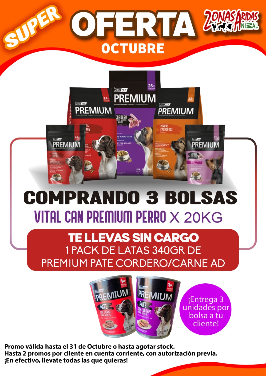 Zonas Áridas - Imagen 9